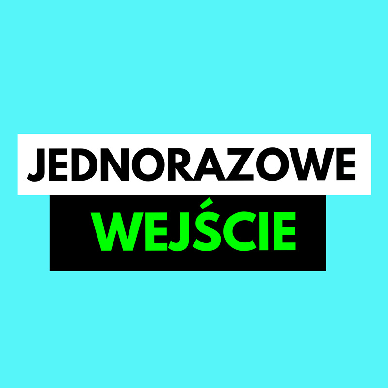 1 x Wejście